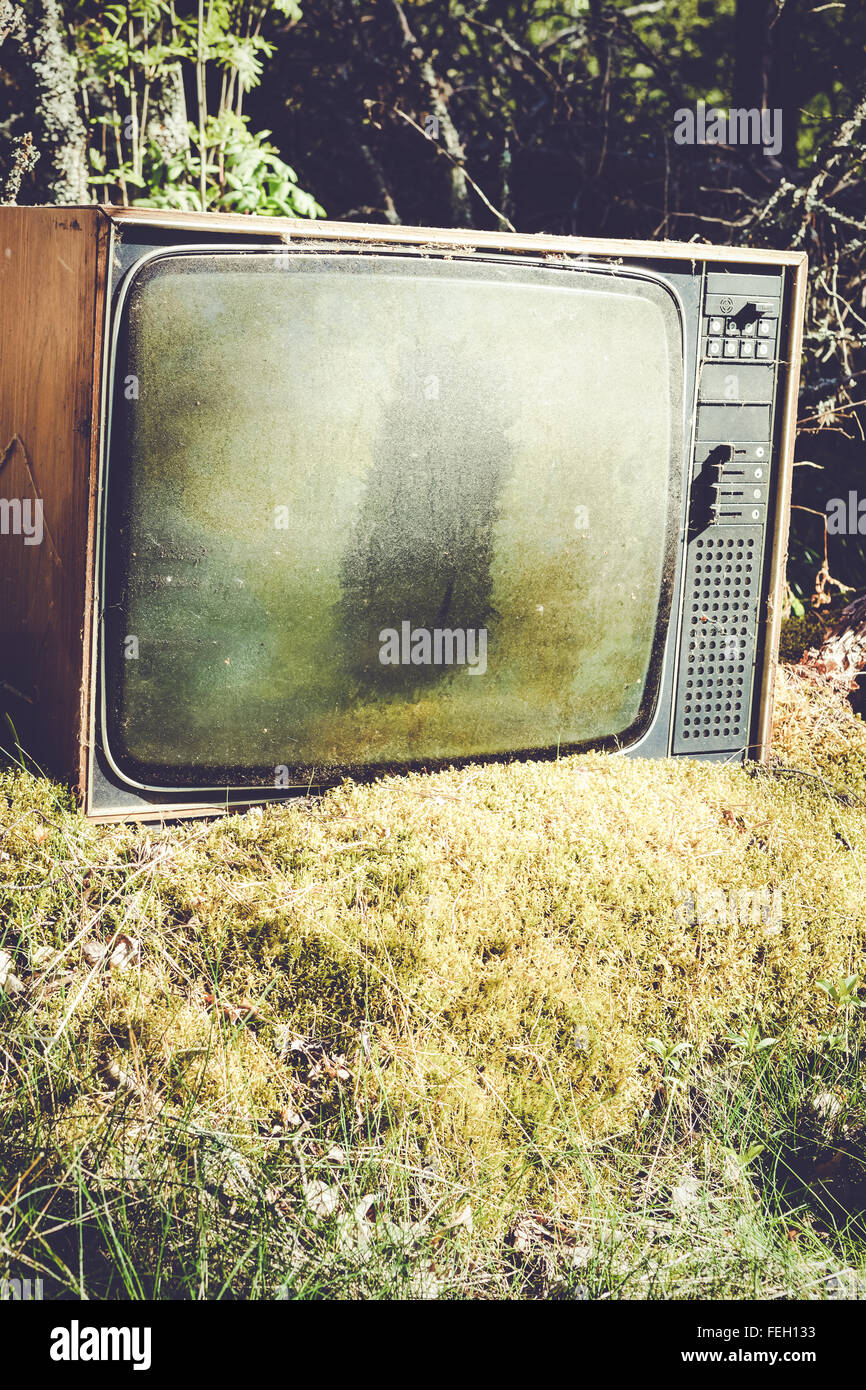 Old analog television in forest Stock Photo