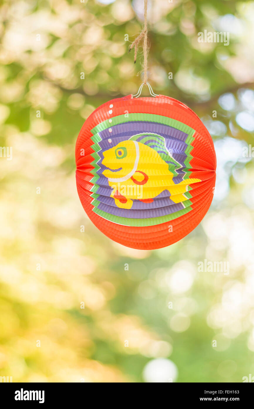 Lantern fish hires stock photography and images Alamy