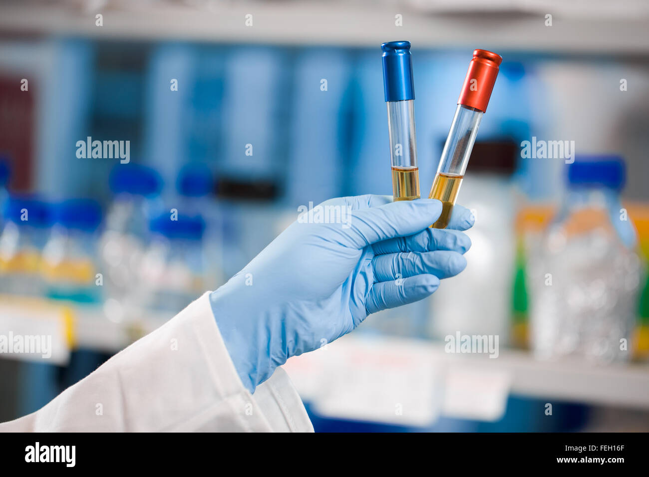 Landscape shot, choice, victory, scientist holding red and blue vials or test tubes Stock Photo