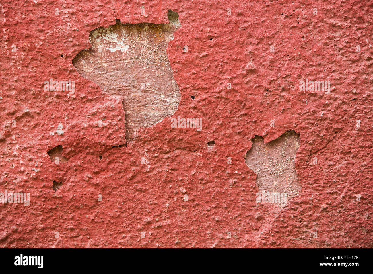 Detail of a red plaster partially peeling off Stock Photo