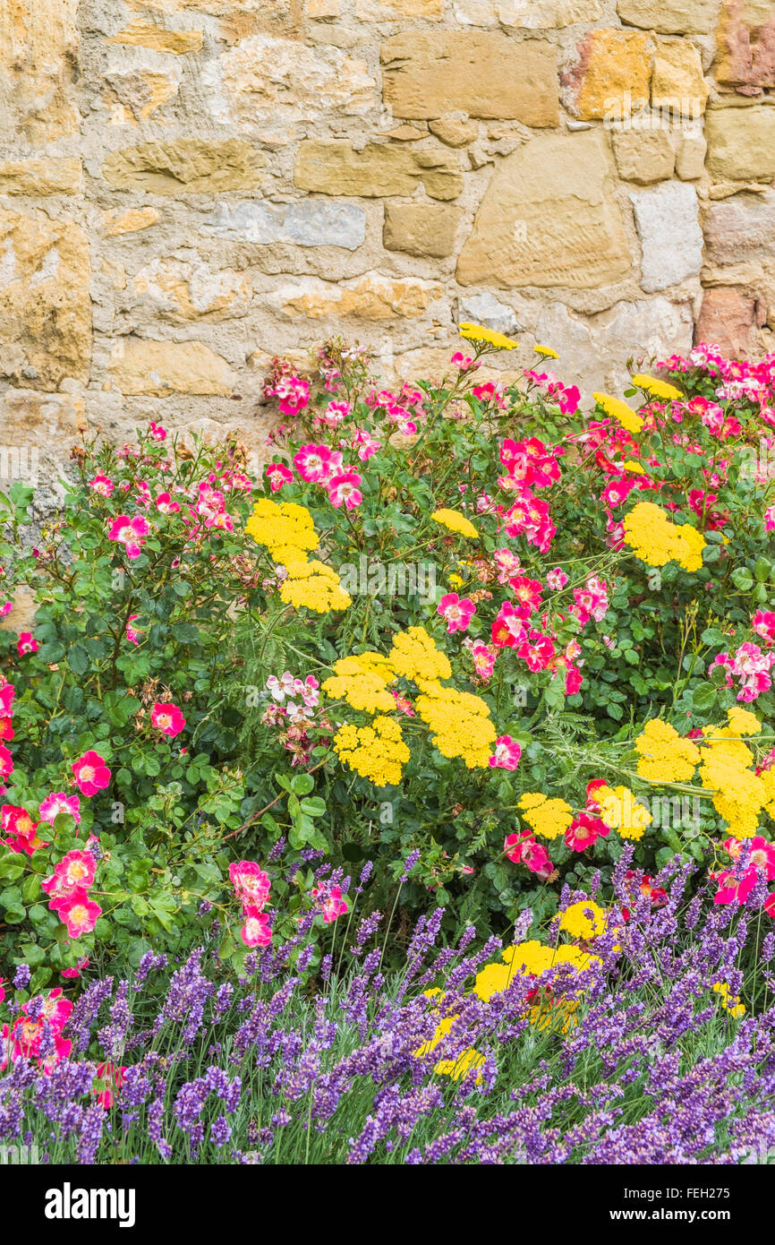 Flowers growing in stone wall hires stock photography and images Alamy