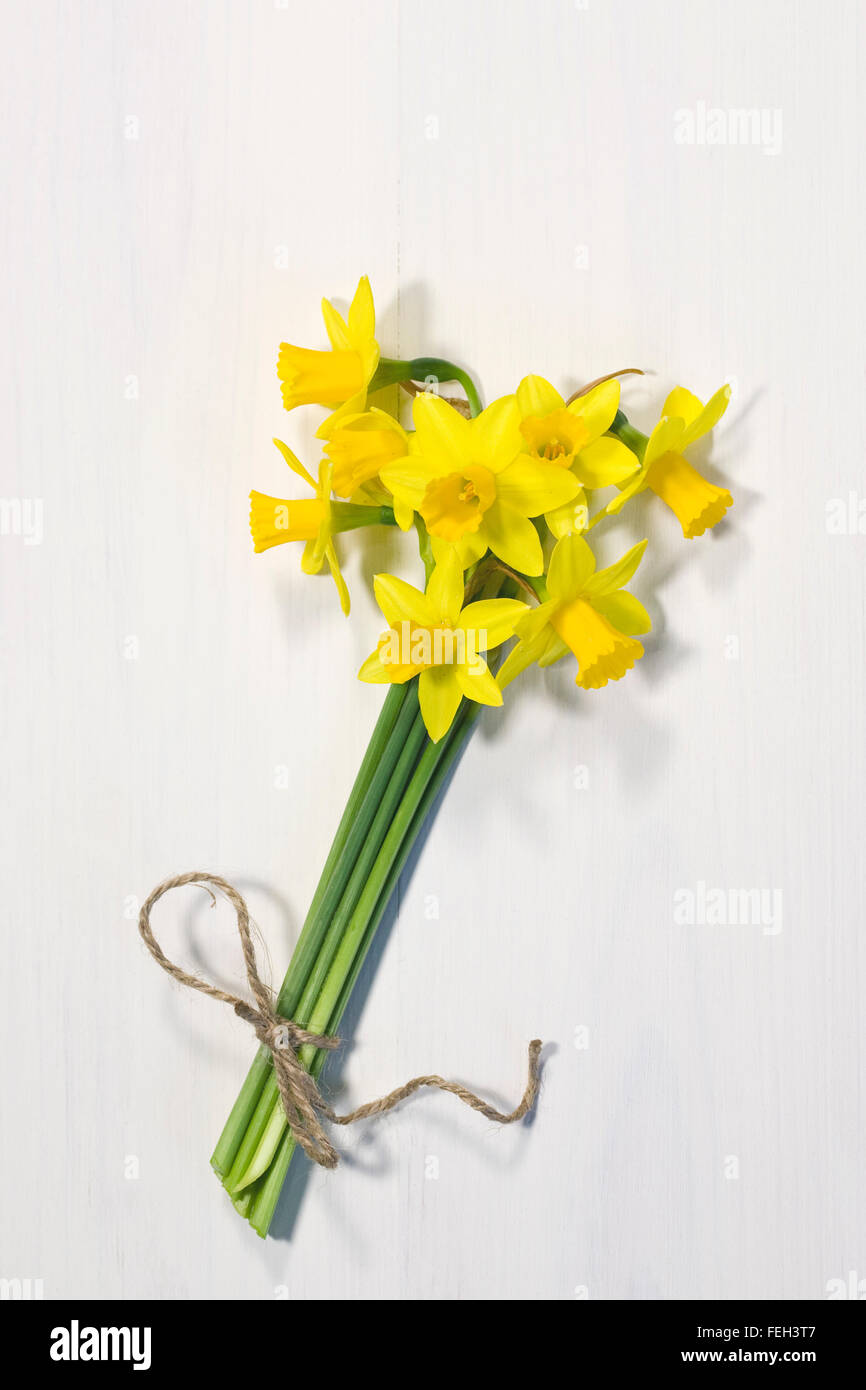 A bunch of miniature daffodils. Stock Photo