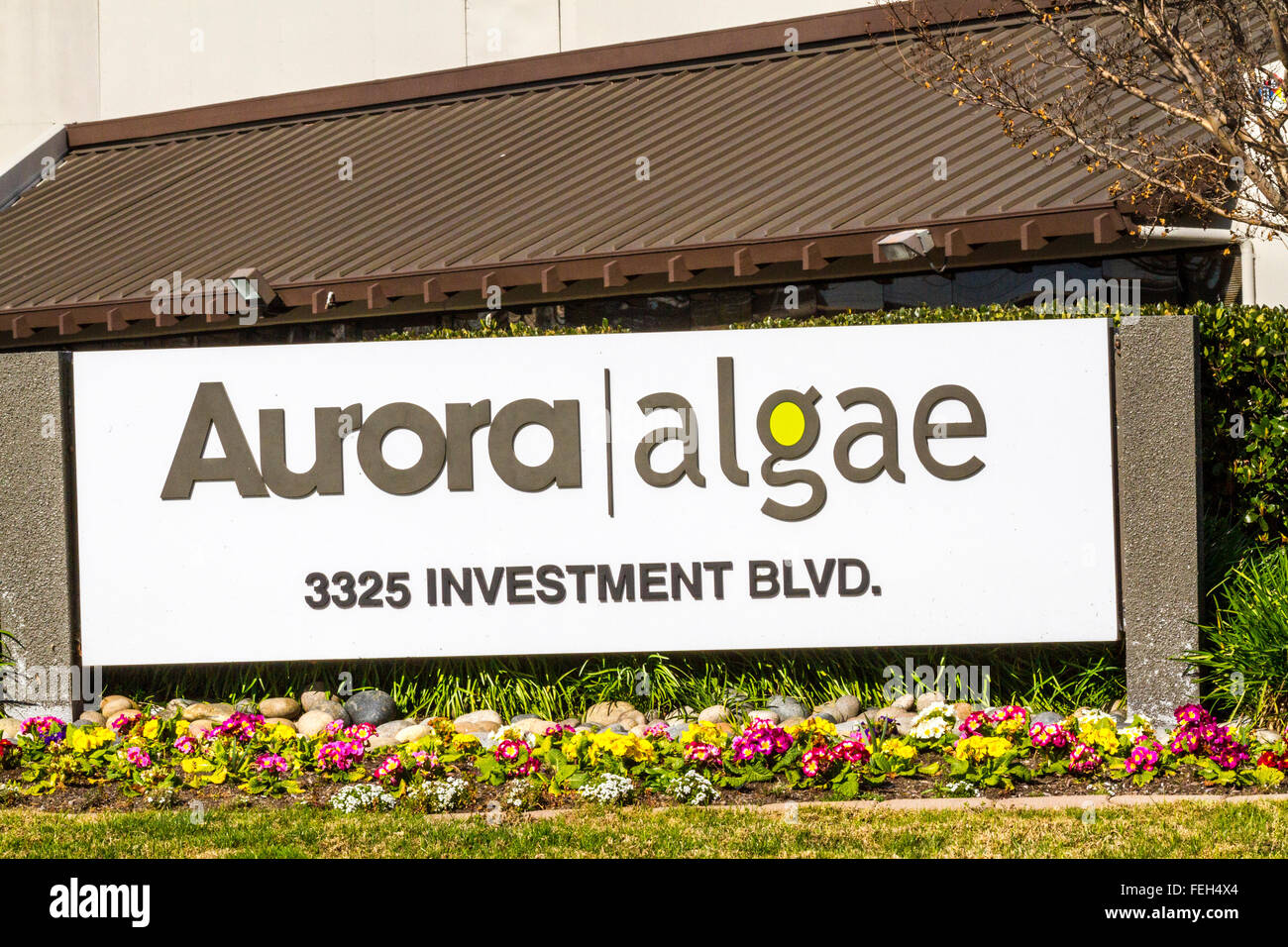 Aurora Algae in Hayward California Stock Photo