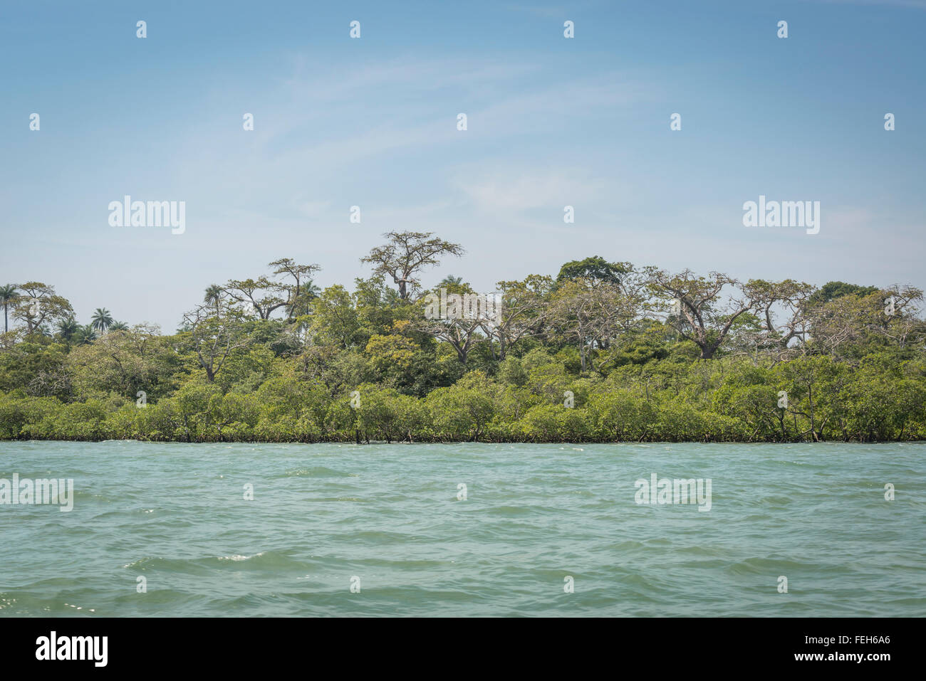 Tropical forests of the Bijagos islands, Guinea Bissau Stock Photo