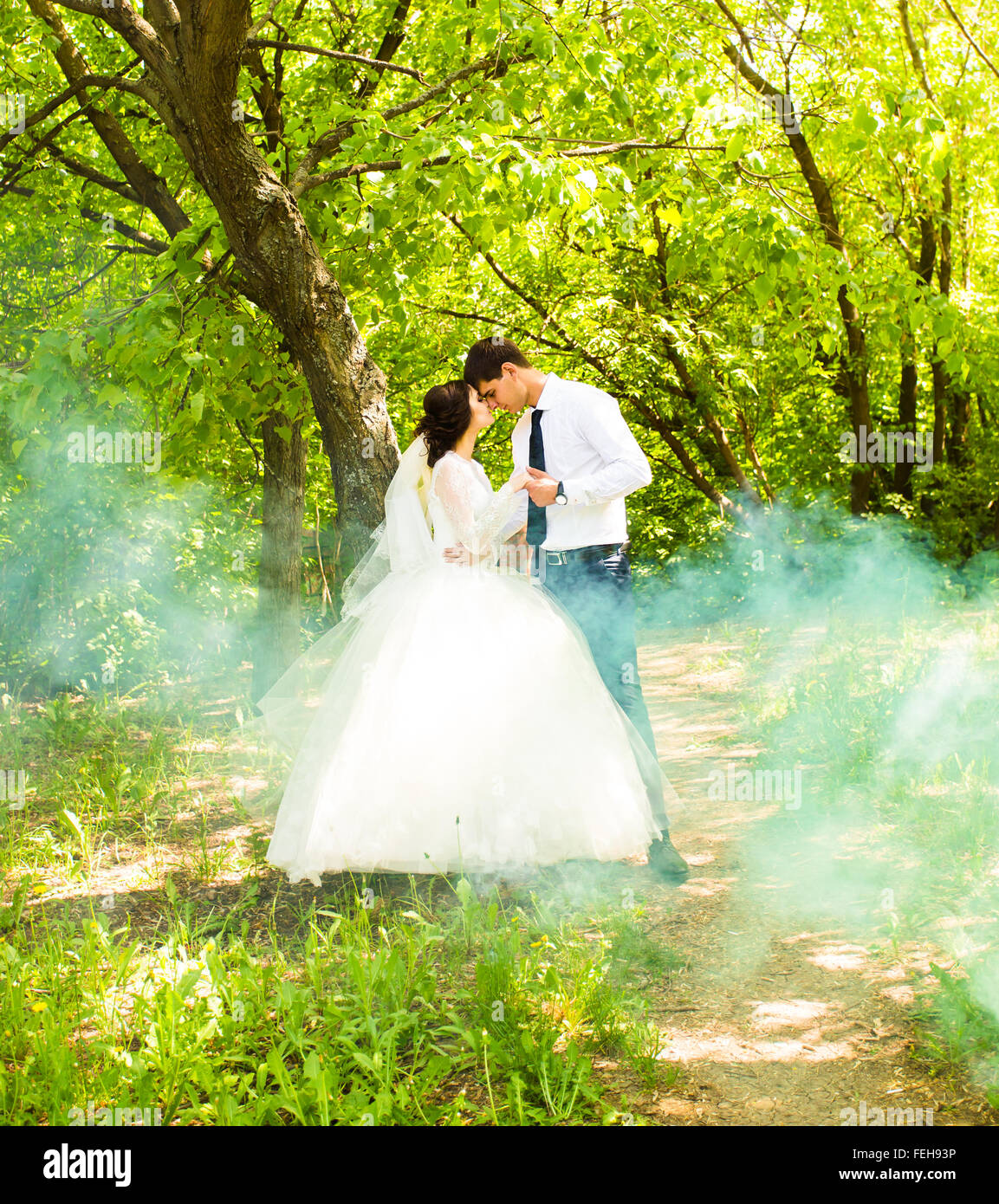 Happy bride and groom on their wedding day Stock Photo - Alamy