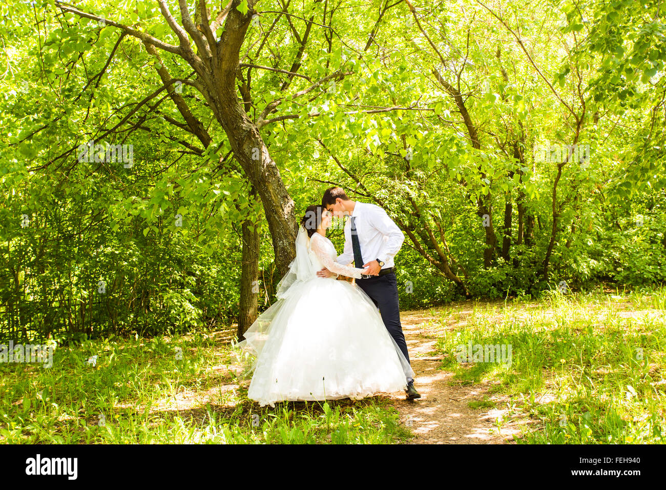 Happy bride and groom on their wedding day Stock Photo - Alamy
