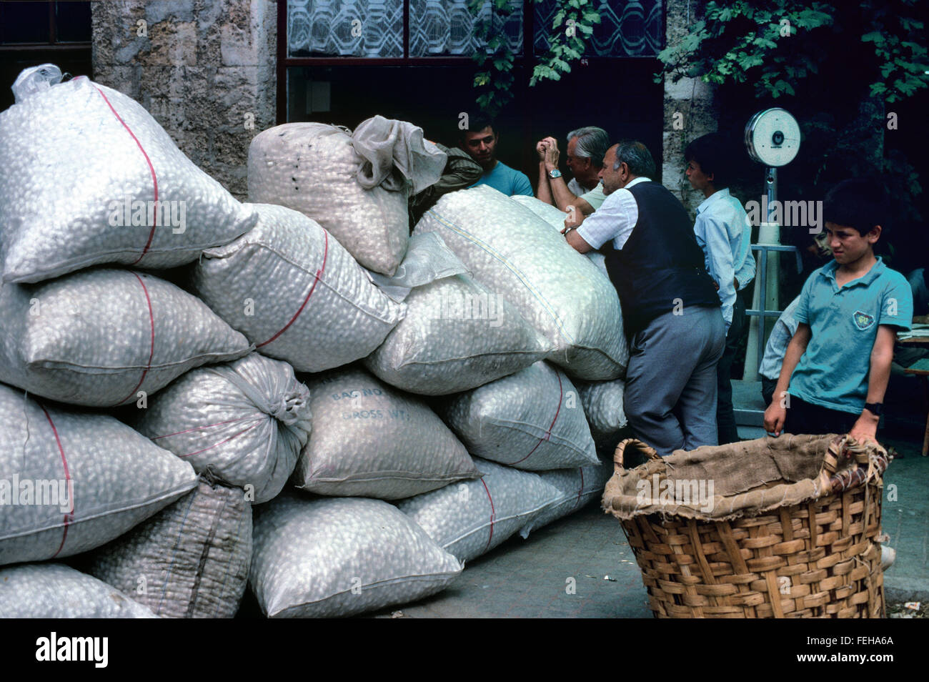 Silk Traders Weigh Bags of Silk Cocoons at the Silk Cocoon Market Held  Annually in July When Silk Farmers Gather to Sell their Silk Cocoons in the  Silk Bazaar, or Koza Han,