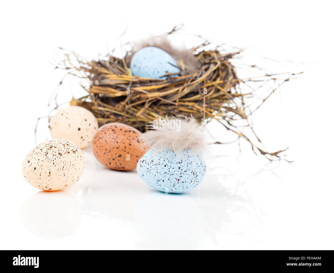 Easter eggs in bird nest isolated on white background Stock Photo Alamy