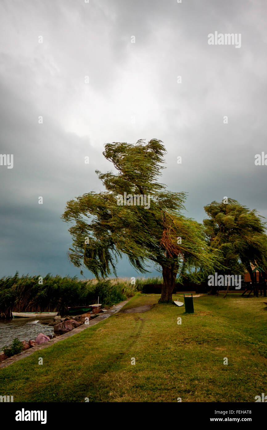 view of the lake Balaton on a windy day Stock Photo