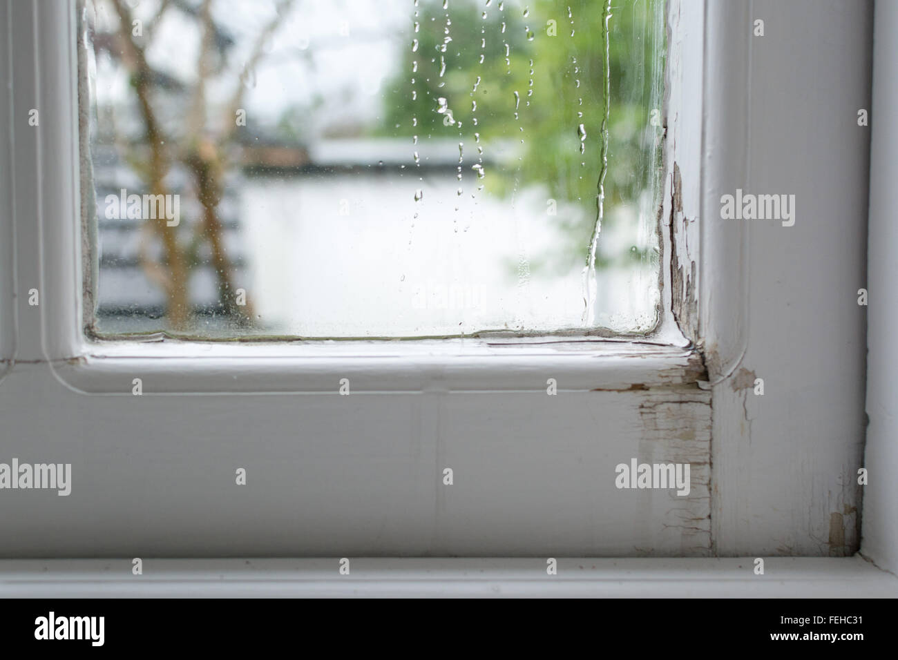 Leaking wooden window - water running down the inside of traditional single glazed timber window frame causing damage Stock Photo