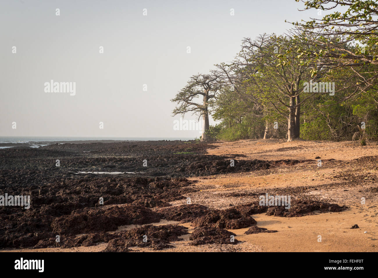 Volcanic rock on the shoreline of the island Poilao in the Bijagos Islands of Guinea Bissau Stock Photo