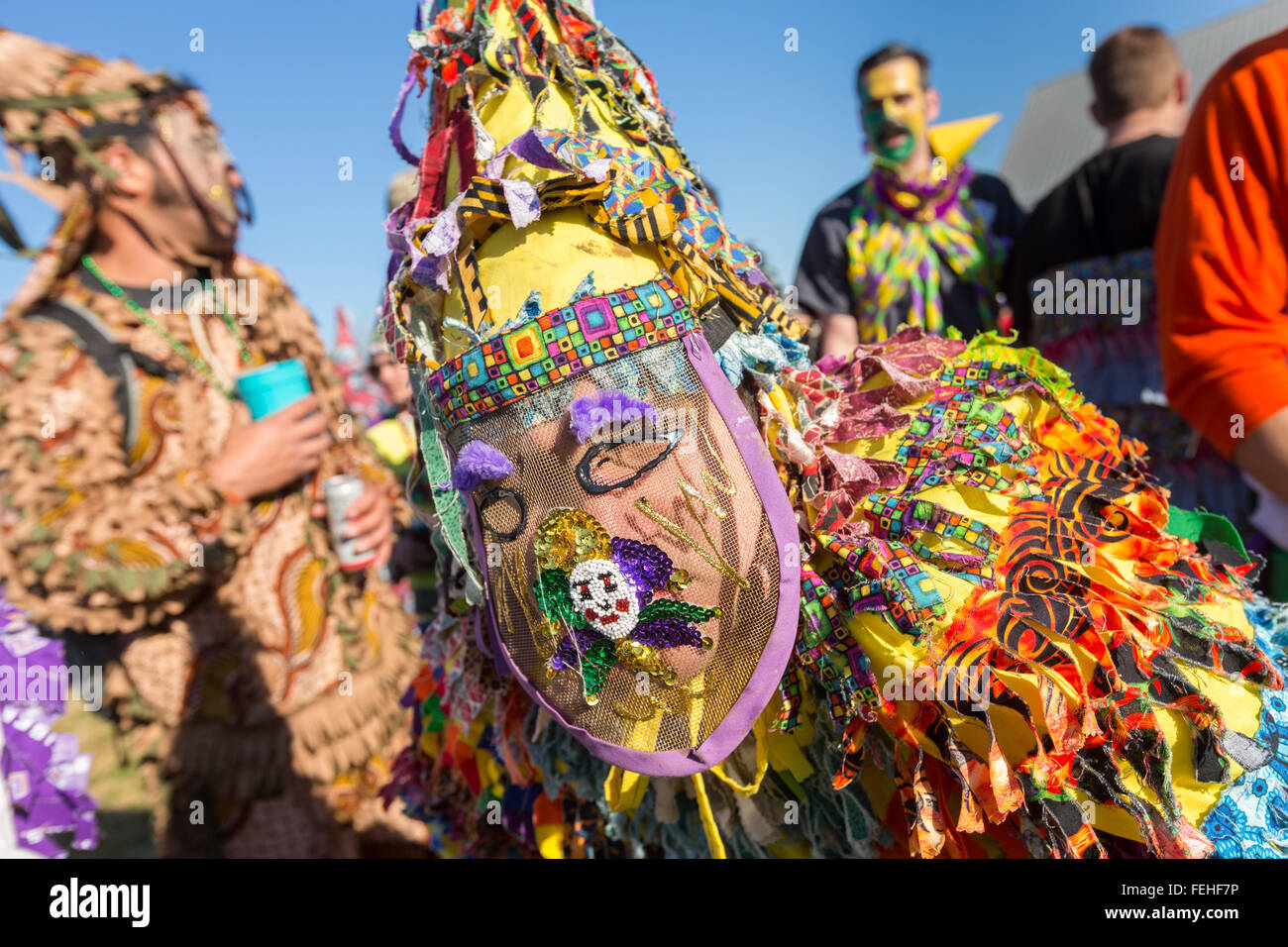 how to make a traditional mardi gras costume
