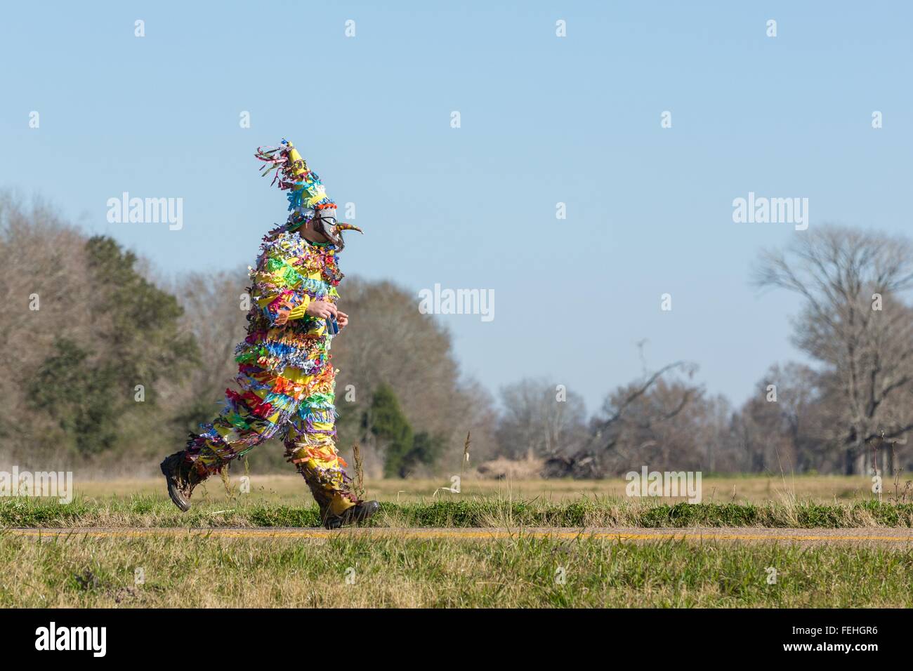 traditional cajun mardi gras costume