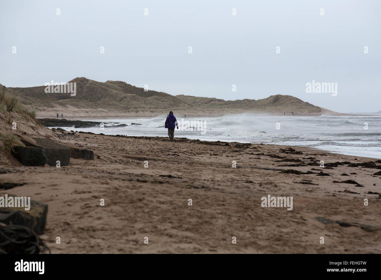 Northumberland, UK. 7th February, 2016. UK Weather: People on the beach near North Sunderland and Seahouses in Northumberland, England. Waves with whitecaps break next to the beach. Credit:  Stuart Forster/Alamy Live News Stock Photo