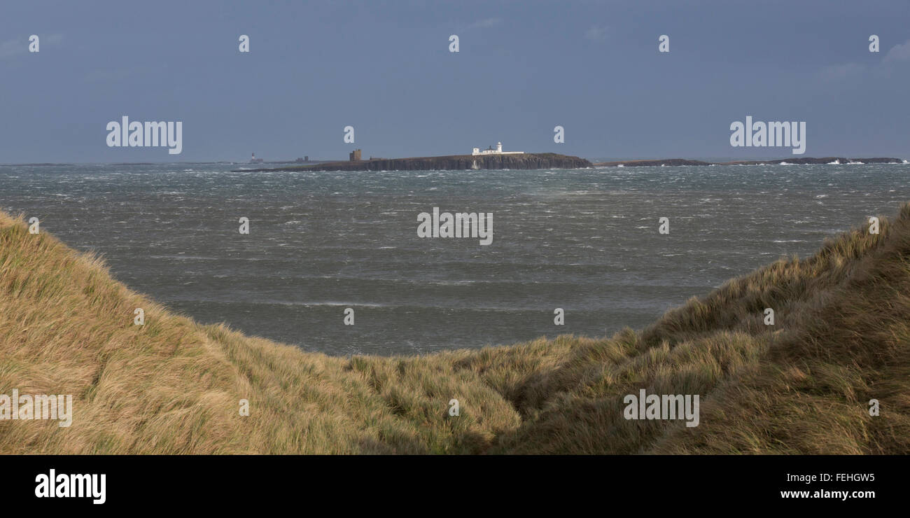Northumberland, UK. 7th February, 2016. UK Weather: The Farne Islands, off the coast of Northumberland, England. The islands are seen between St Aidan's Dunes. Credit:  Stuart Forster/Alamy Live News Stock Photo