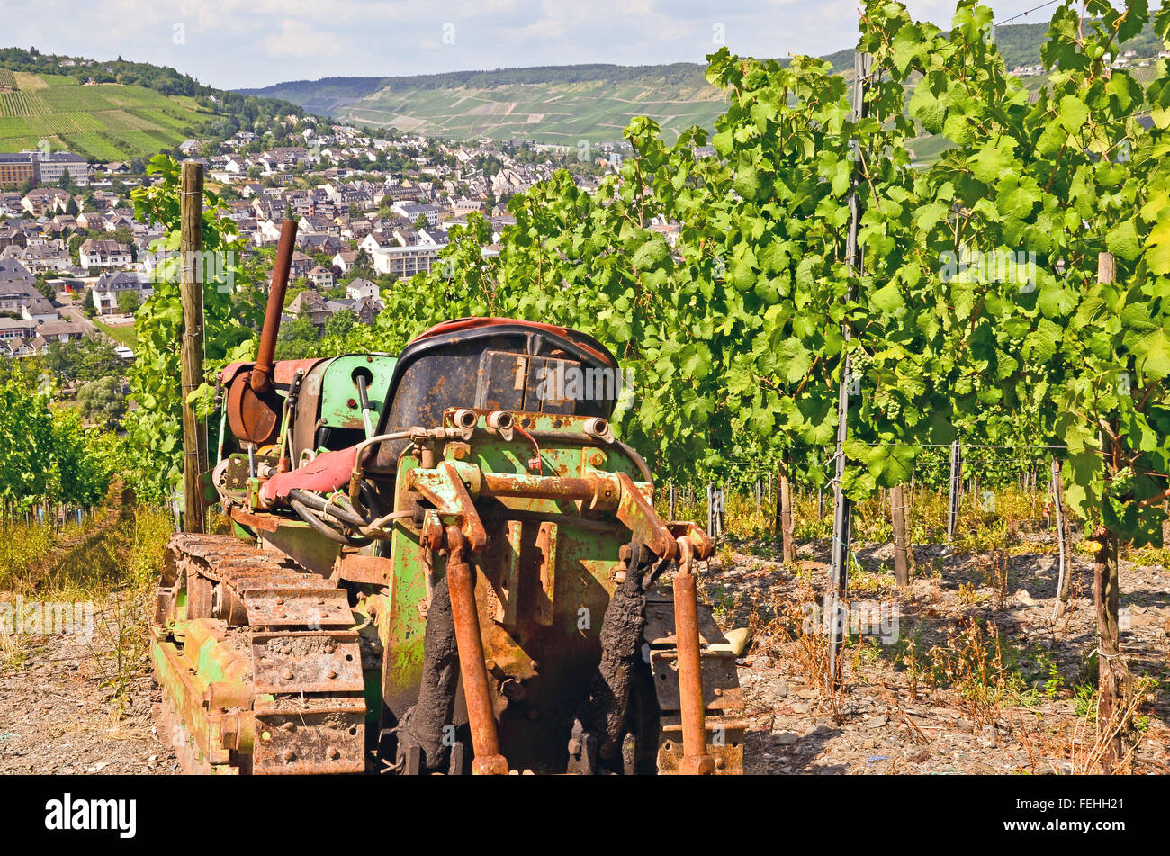 Moselle Valley - Germany: View to vineyards near the town of Bernkastel Kues Stock Photo