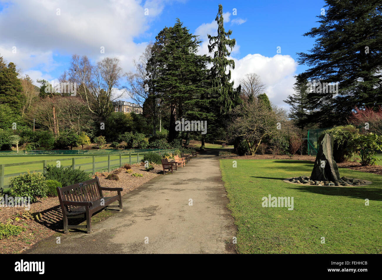 Spring flowers, Fitz Park, Keswick town, Lake District National Park ...