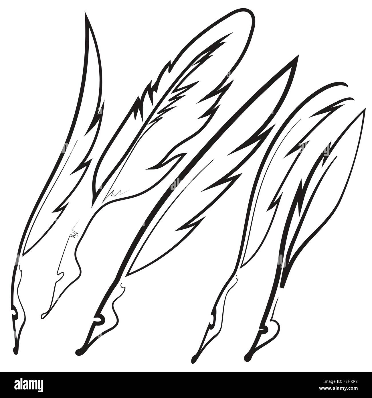 Set of Different Feathers Stock Vector Image &amp; Art - Alamy