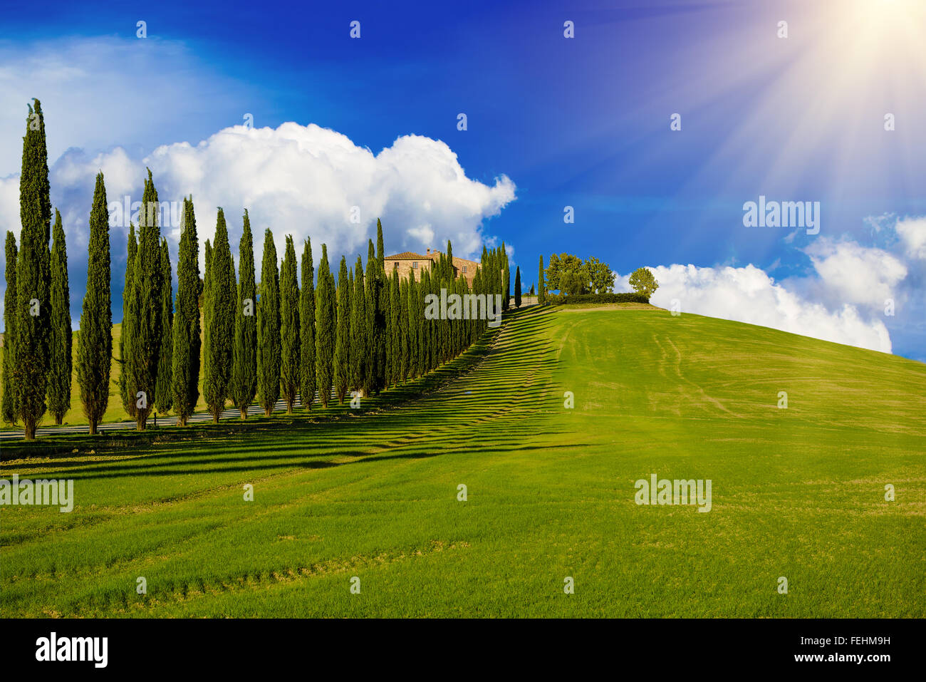 Tuscany typical landscape Stock Photo - Alamy
