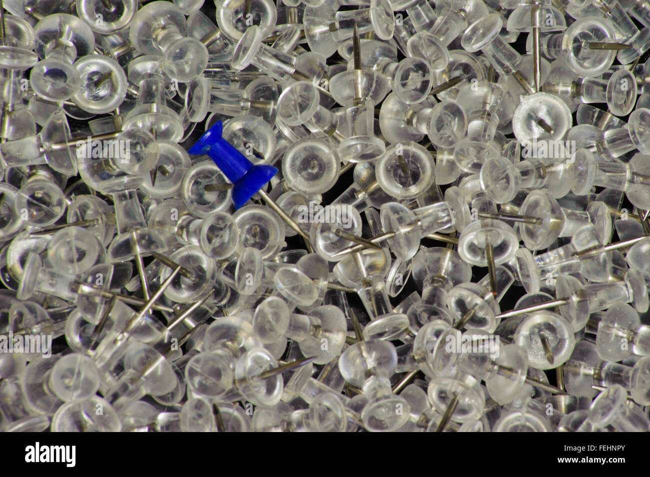 One of these things is not like the others Stock Photo Alamy