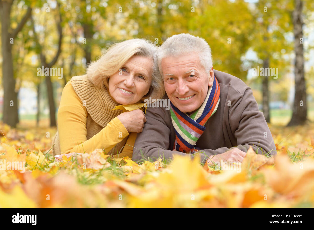 Senior couple in autumn park Stock Photo - Alamy