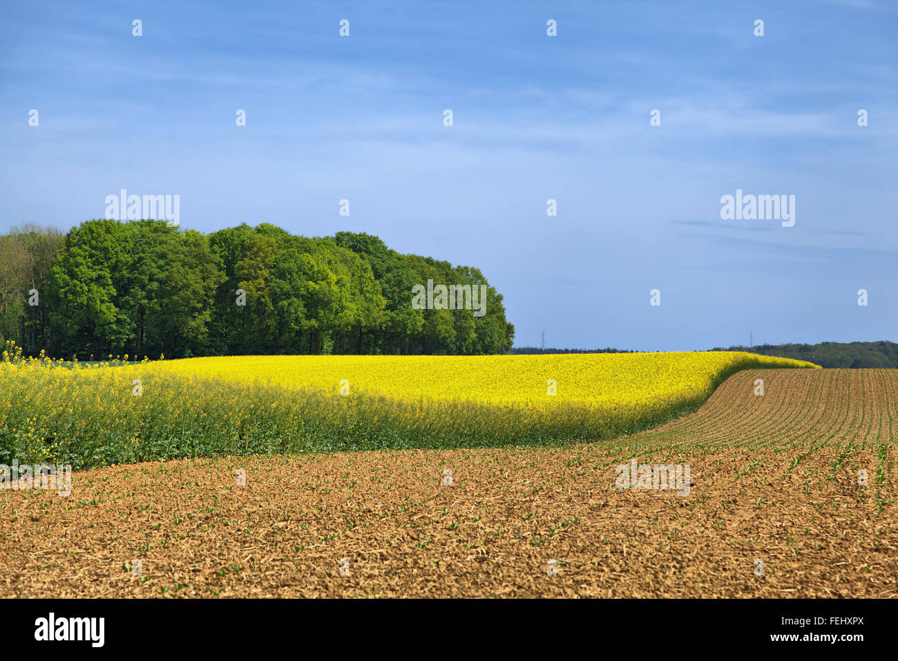 Rural landscape in Wallonia, Belgium Stock Photo