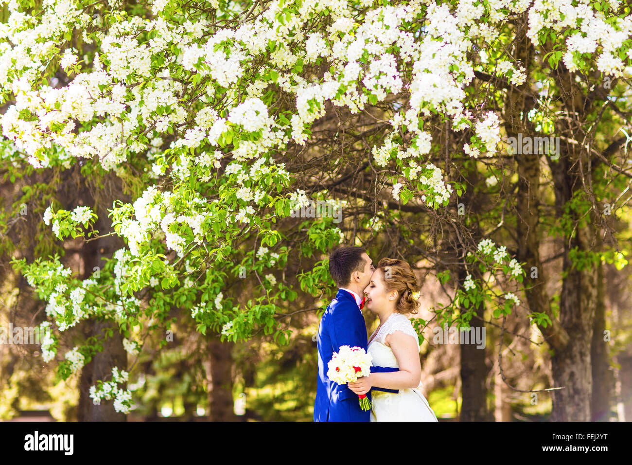 The bride and groom in the spring nature with blooming trees Stock ...