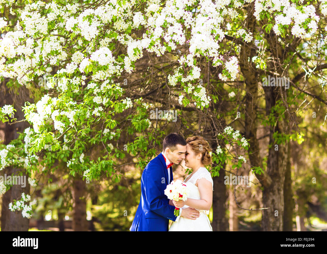 The bride and groom kissing in the spring nature with blooming trees ...