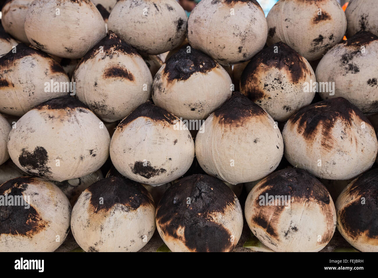 Fresh Coconut Juice and Shells at Chatuchak Market, Bangkok - The coconut palm or cocos nucifera is a tree of the palm family an Stock Photo