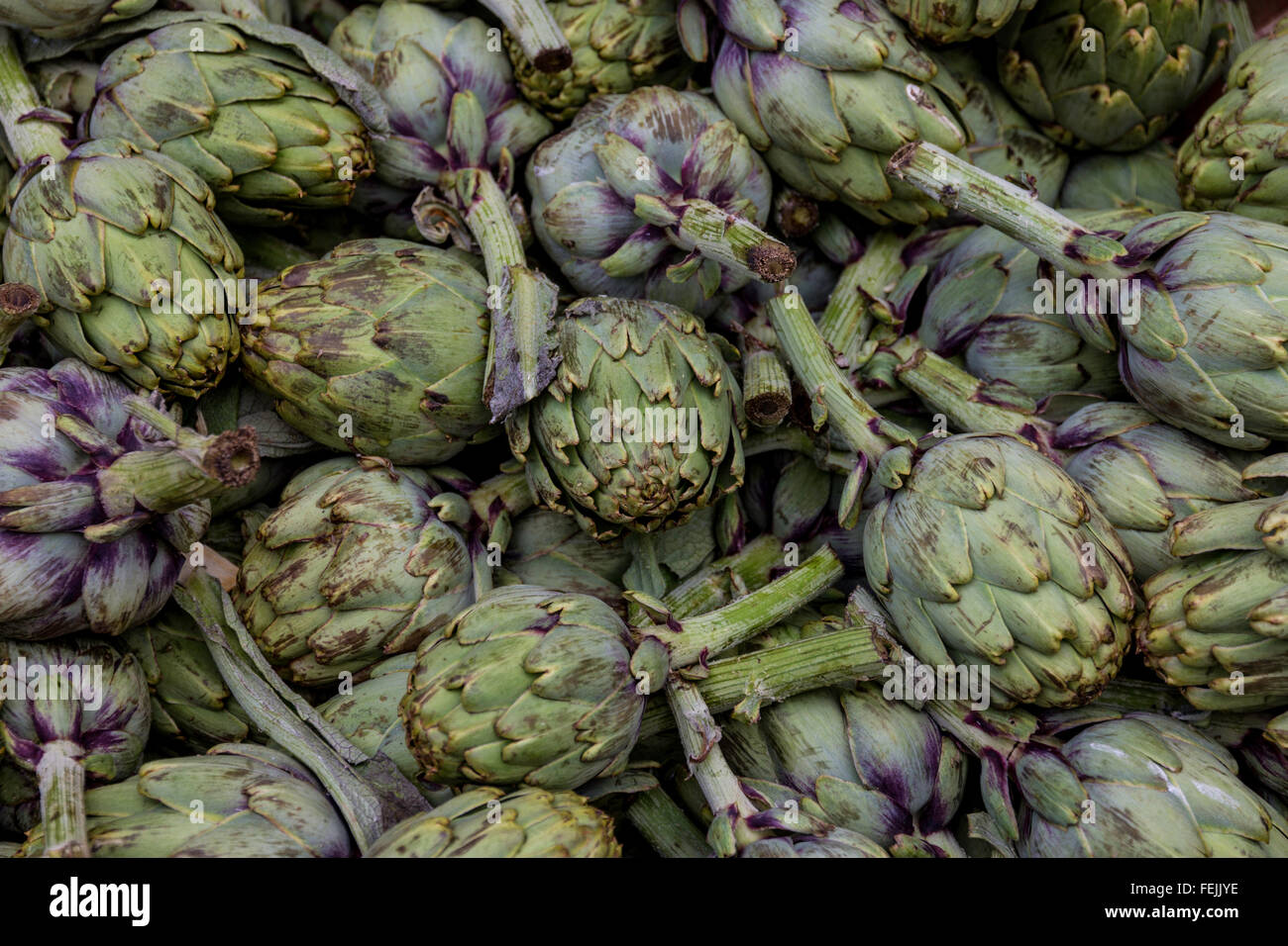 Globe artichokes at a French market Stock Photo Alamy