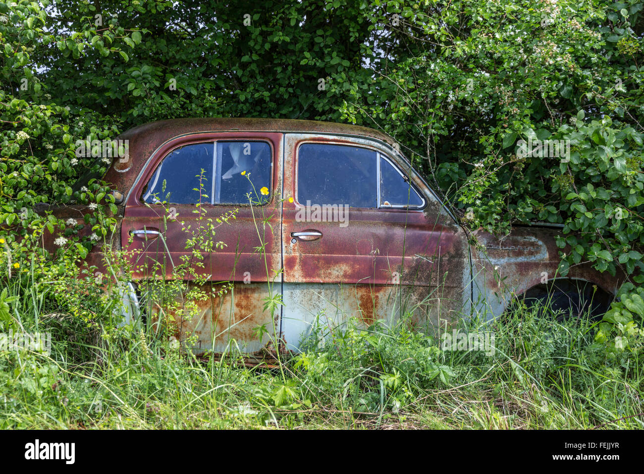 Old rusty Renault Dauphine Stock Photo