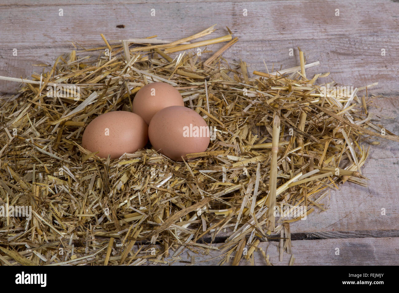 village eggs natural organic on straw Stock Photo - Alamy