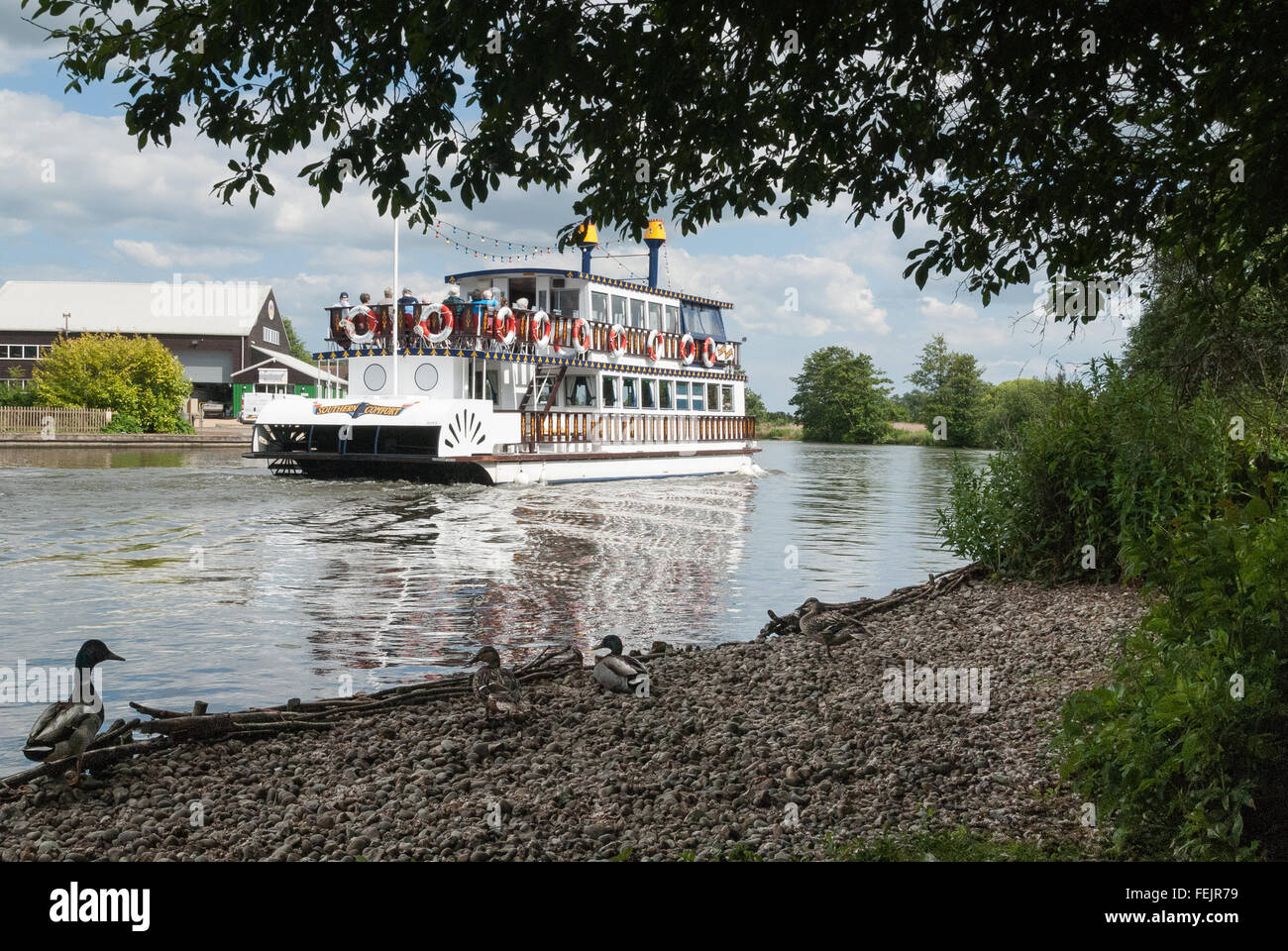 Steamboat on the River Yare, The Broads, Norfolk, Norwich, U.K. Stock Photo