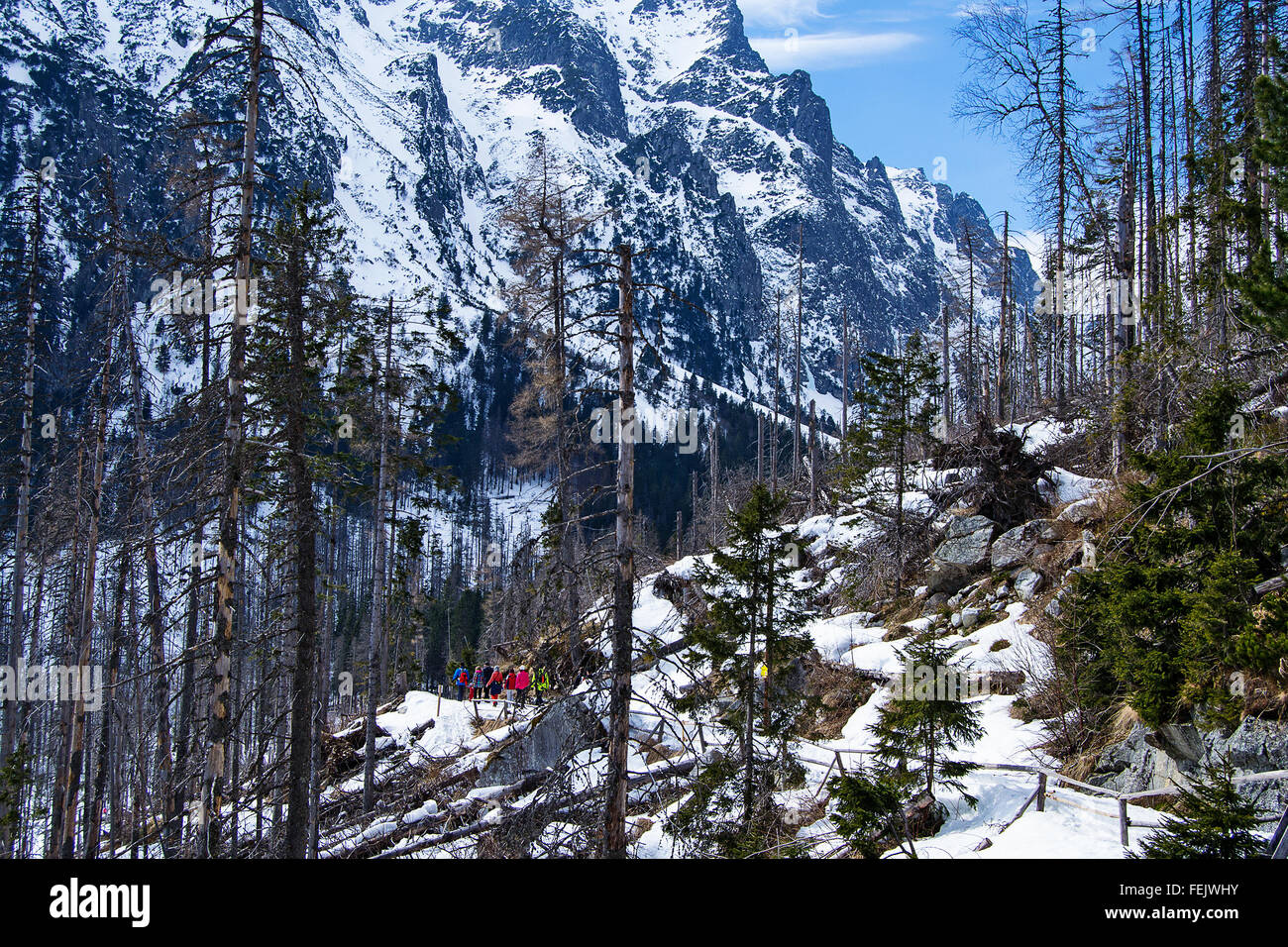 Trekking in high tatras hi-res stock photography and images - Alamy