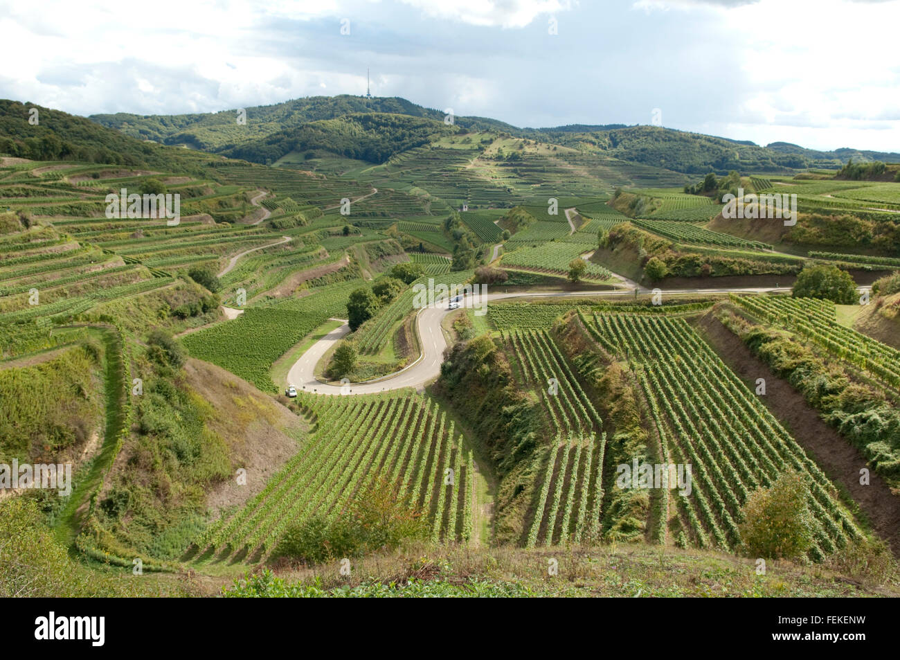 Weinterrassen, Kaiserstuhl Stock Photo