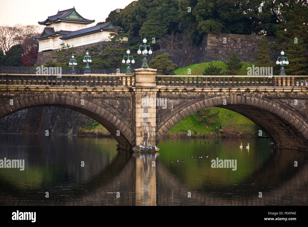 A pair of white swans swim past Nijubashi Bridge and Fushimi Yagura Watchtower at dawn at the Imperial Palace in central Tokyo Stock Photo