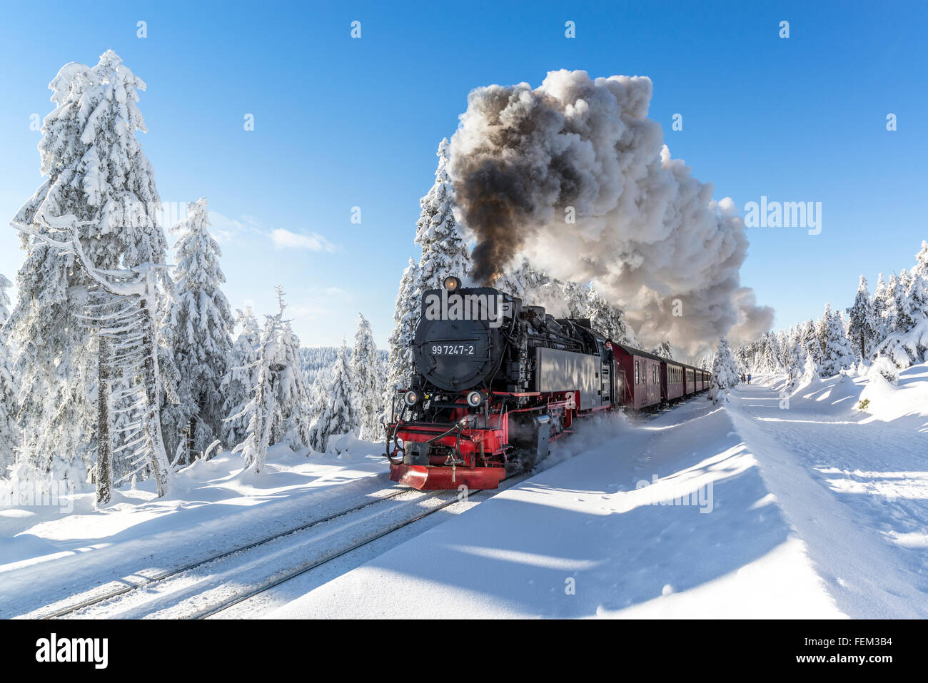 The Brocken railway, Harz National Park, Saxony-Anhalt, Germany Stock Photo