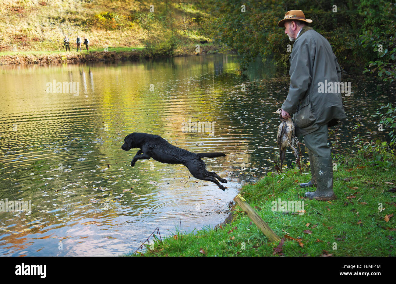 Game retriever hi-res stock photography and images - Alamy