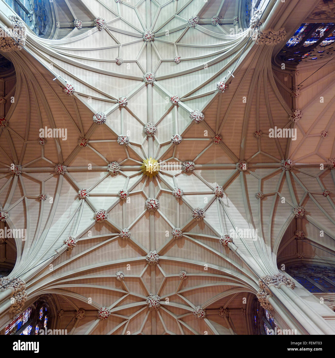 Vaulted ceiling of St Patrick's Cathedral, Manhattan, New York City, USA Stock Photo