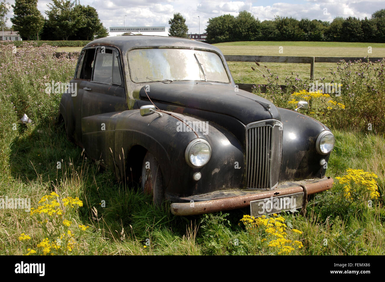 abandoned classic cars rotting in a field, Triumph Stag and Lanchester Stock Photo