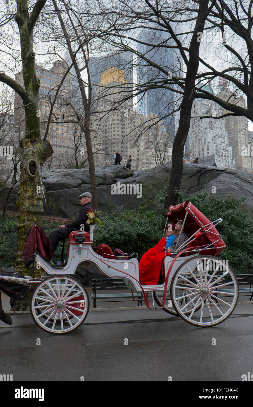 Central Park Winter Horse High Resolution Stock Photography and Images ...