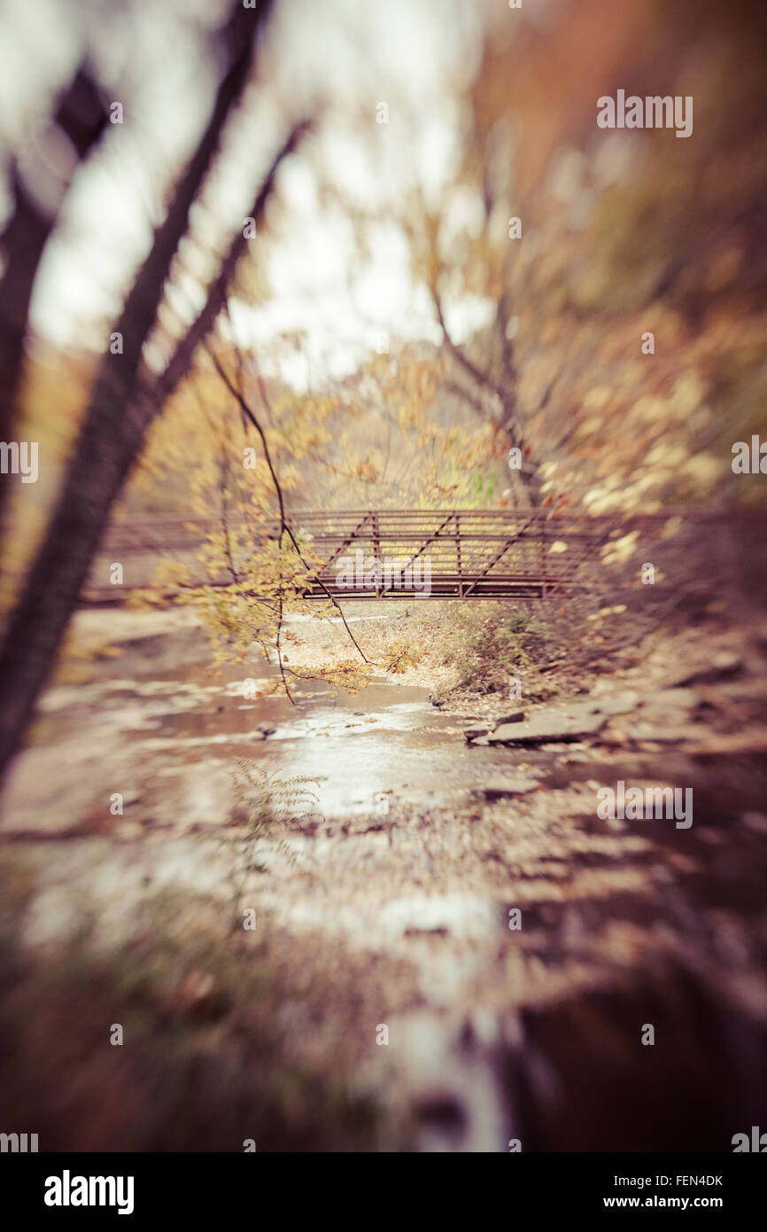 Abstract bridge nature hi-res stock photography and images - Alamy