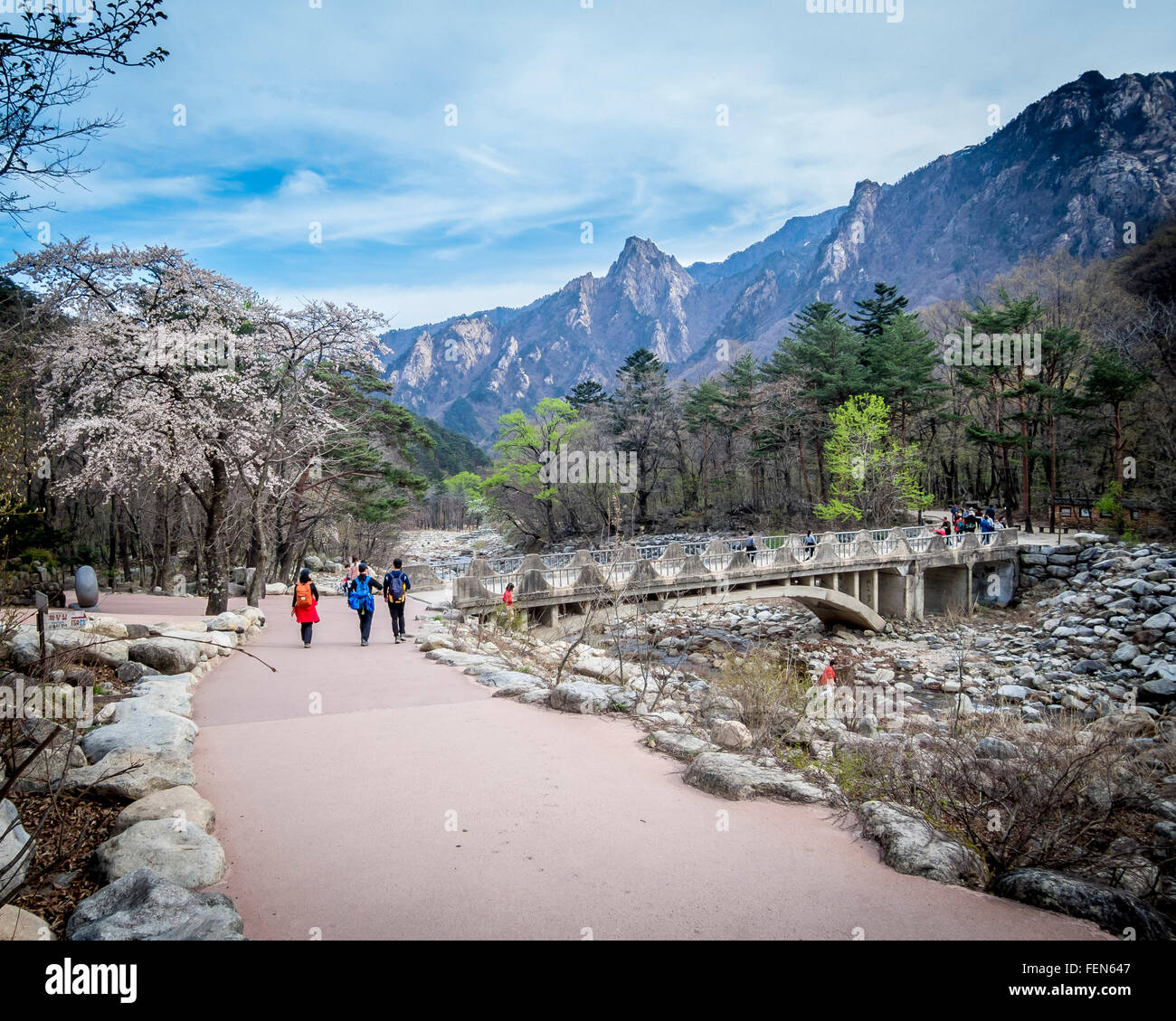 People walk towards a bridge, backed with rugged mountains. You can tell it is Spring because there are Cherry blossoms. Stock Photo