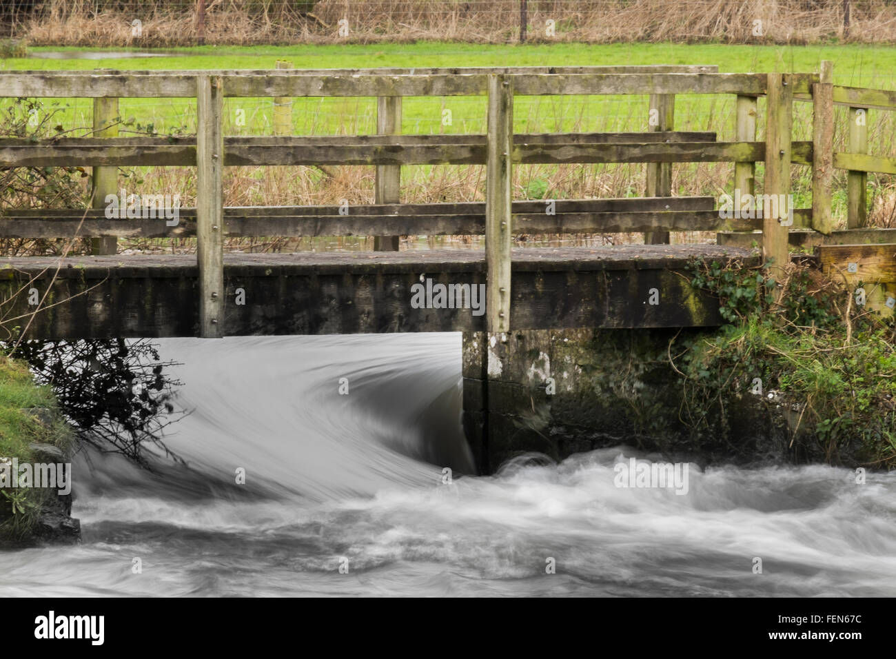 Salisbury, UK. 8th February, 2016. River Wyle burst its banks at hanging Langford Near Salisbury Wiltshire Credit:  Paul Chambers/Alamy Live News Stock Photo