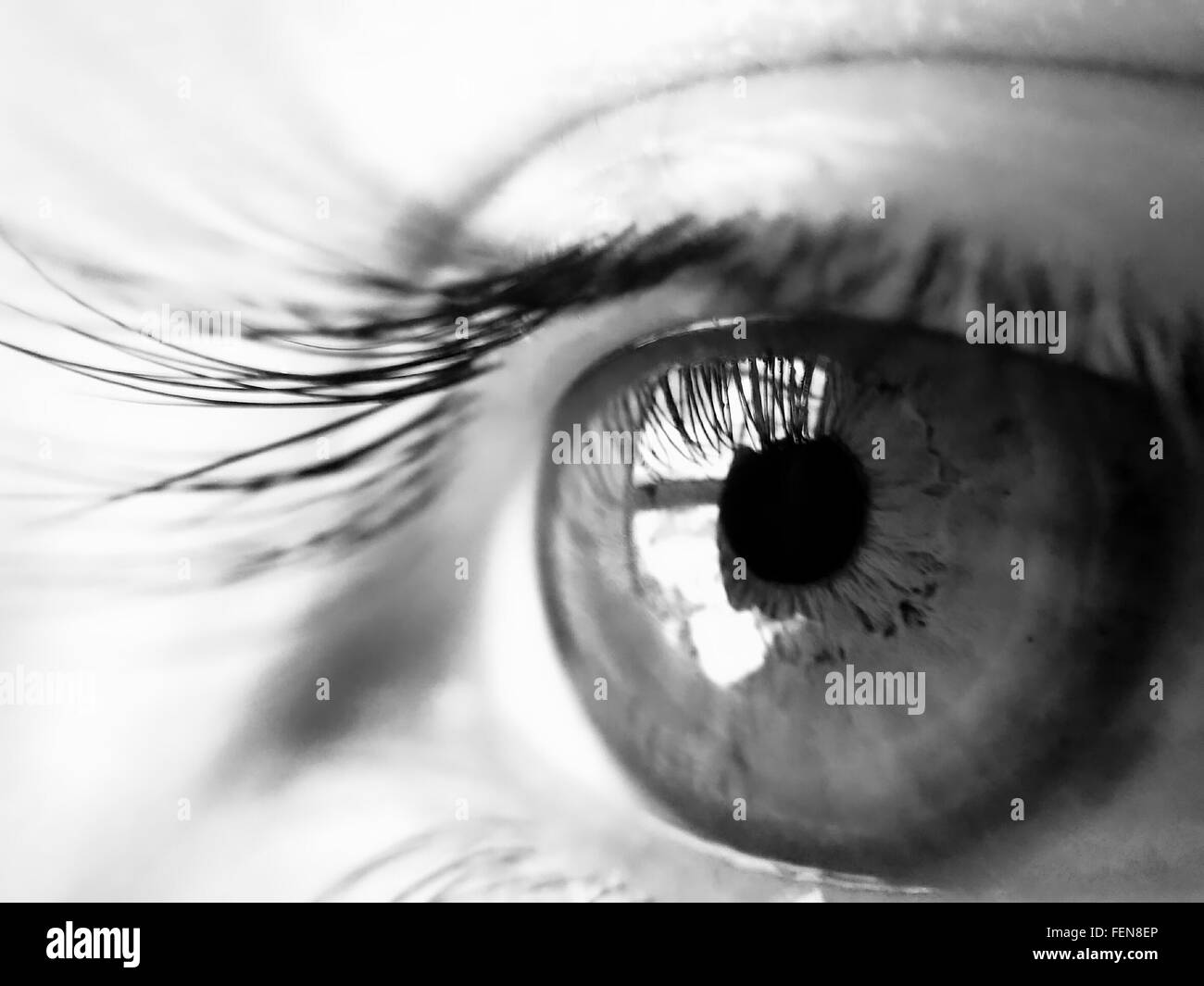 Human eye close up Black and White Stock Photos & Images - Alamy