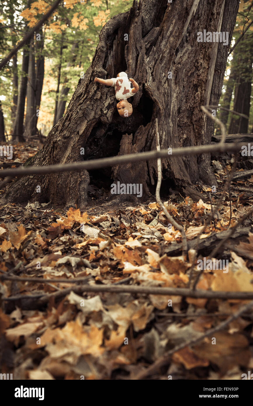 A bloody baby doll is stuck in the side of a tree in the woods Stock Photo