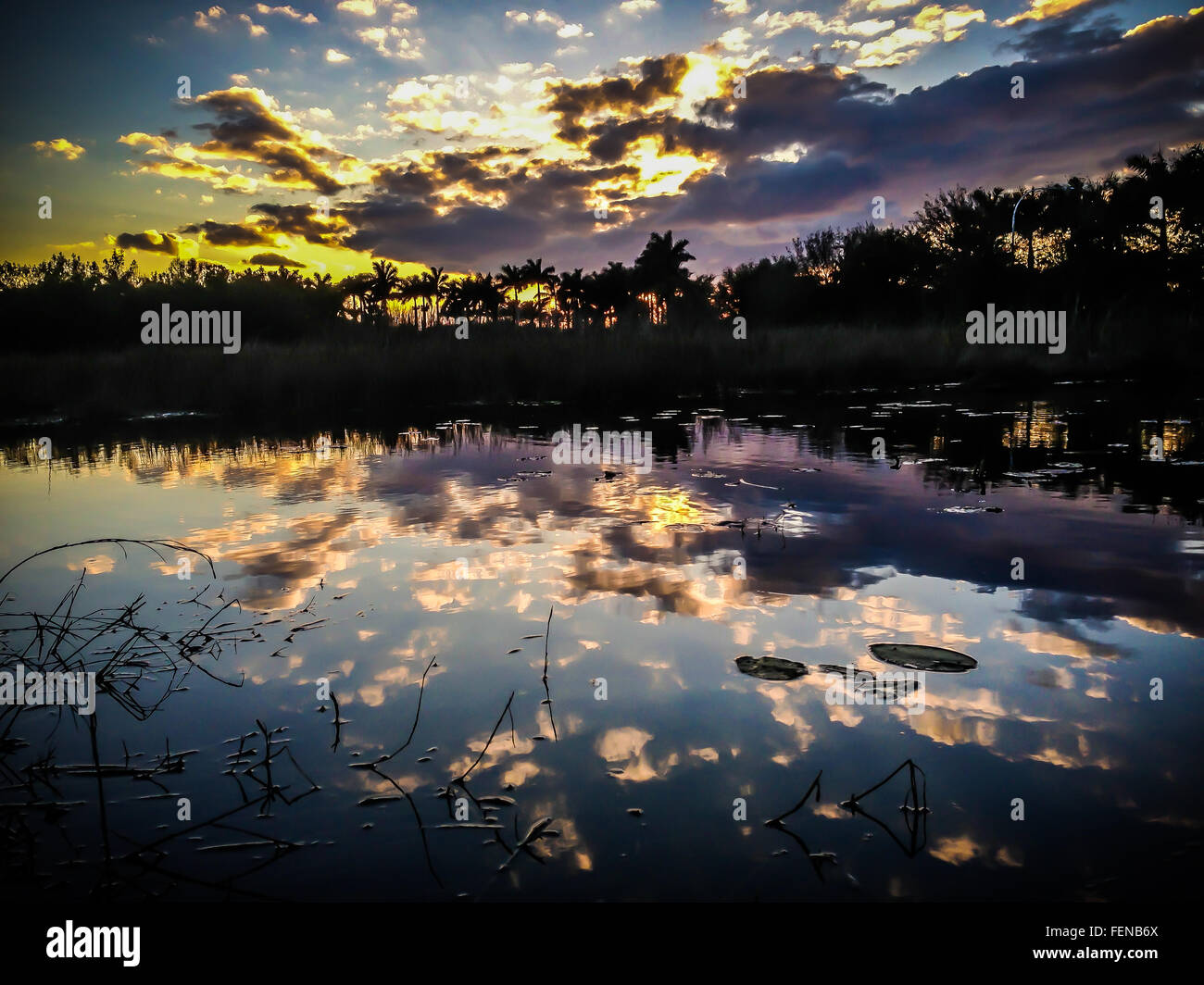 The reflection of sunset clouds on the water of a lake / swamp in Florida. The colors and light mirror on the water. Stock Photo
