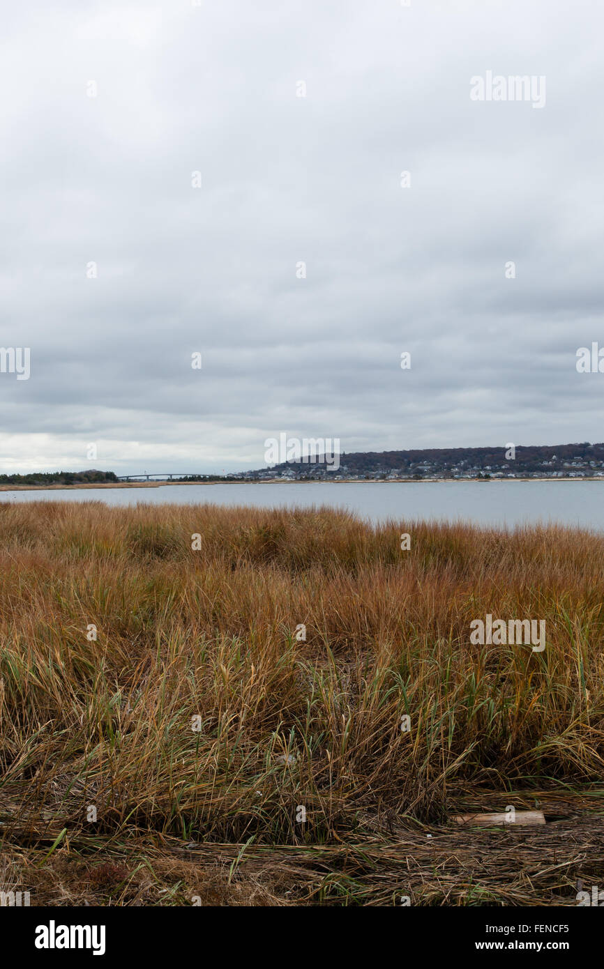 The bay at Sandy Hook during low tide with the Atlantic Highlands in