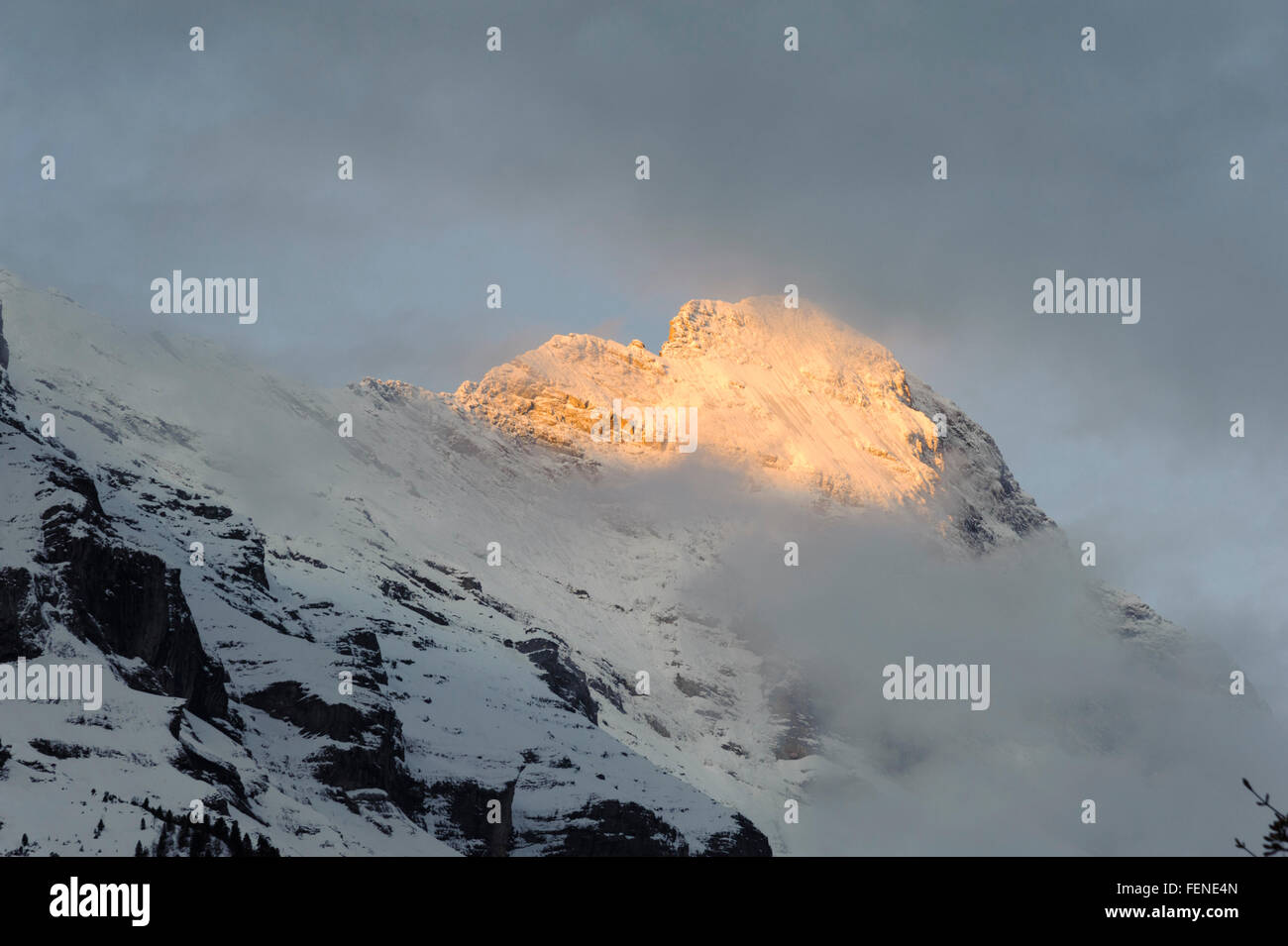 UNESCO World Heritage Site Swiss Alps Jungfrau-Aletsch, canton Bern, Bernese Oberland, Switzerland Stock Photo