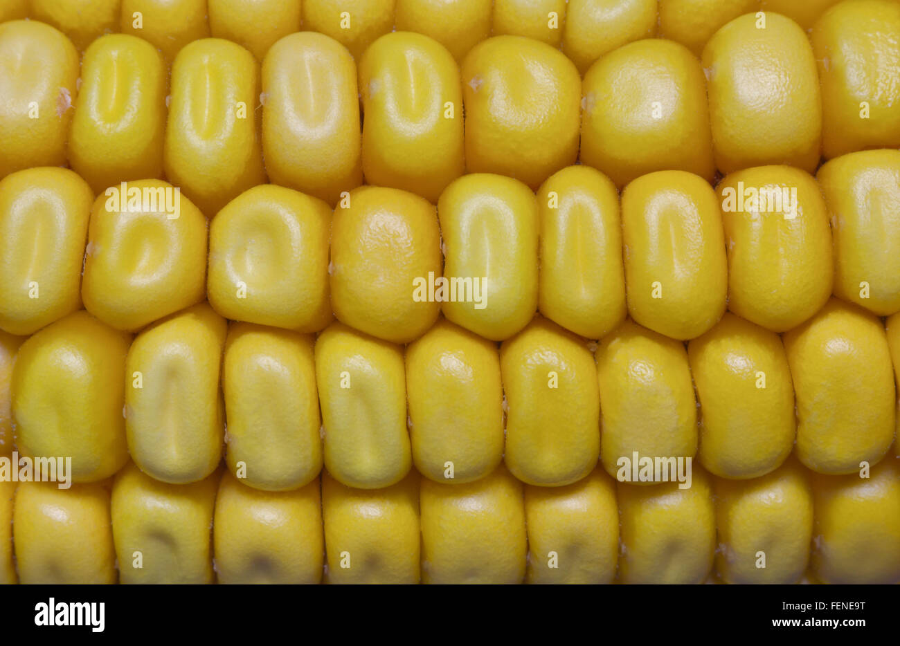 Corn , food background Stock Photo